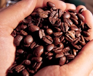 Στο Solo Café στην Καλλιθέα συνδυάζετε τον καφέ σας με απολαυστικά σνακ.
